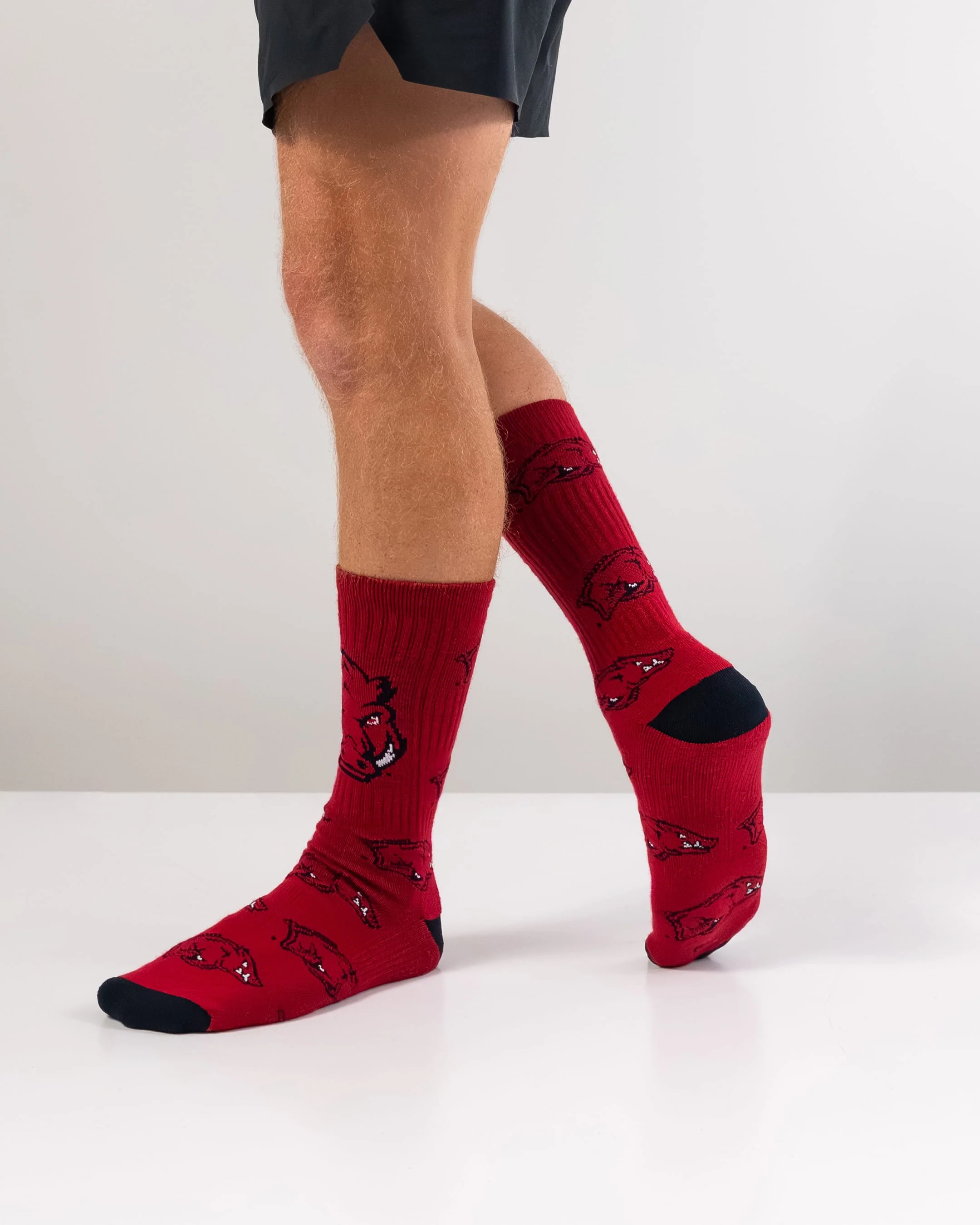Arkansas Razorbacks Mayhem Crew Socks - Image 5