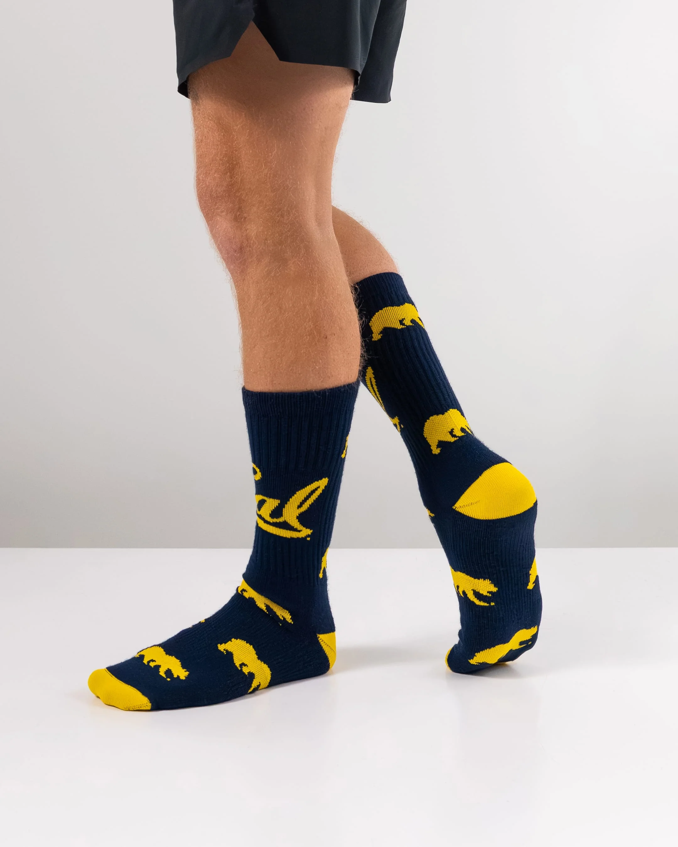 Cal Berkeley Golden Bears Mayhem Crew Socks - Image 5