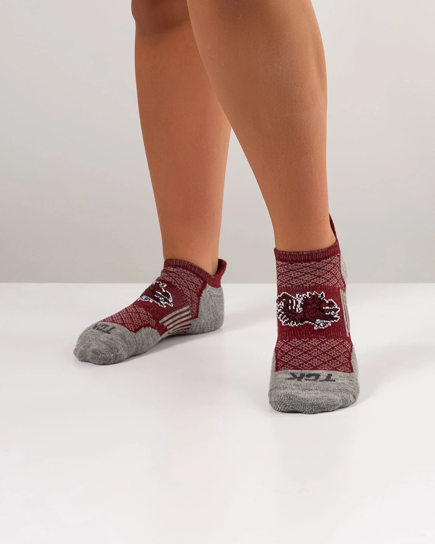 South Carolina Gamecocks No Show Tour Socks - Image 4