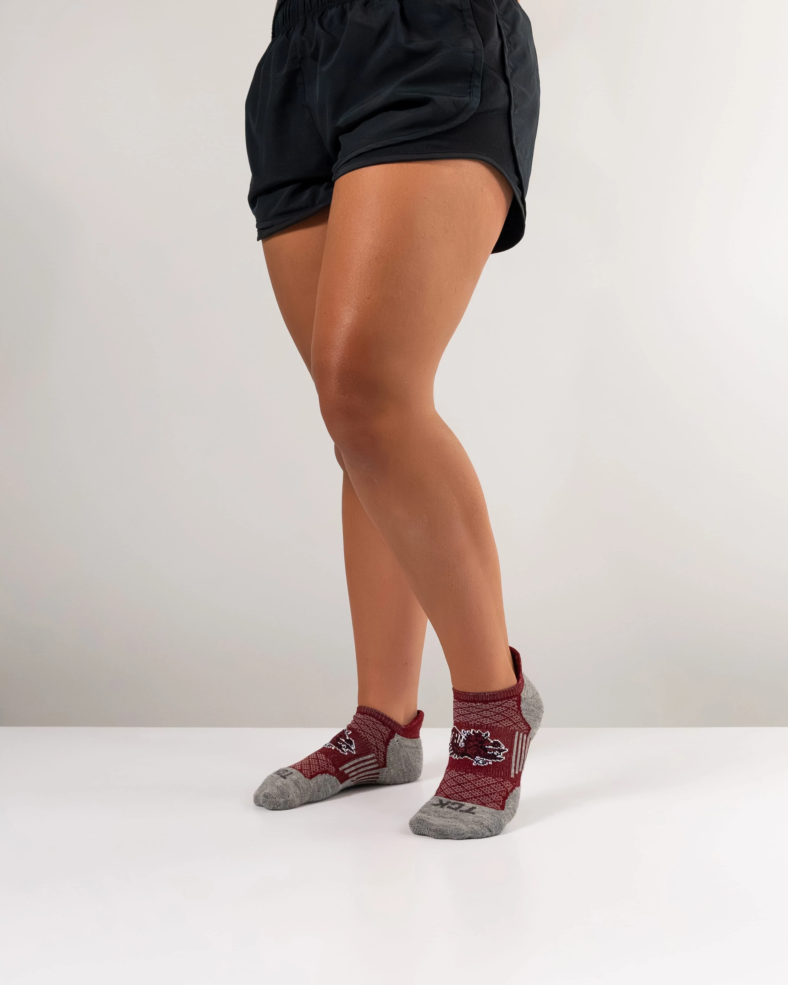 South Carolina Gamecocks No Show Tour Socks - Image 5