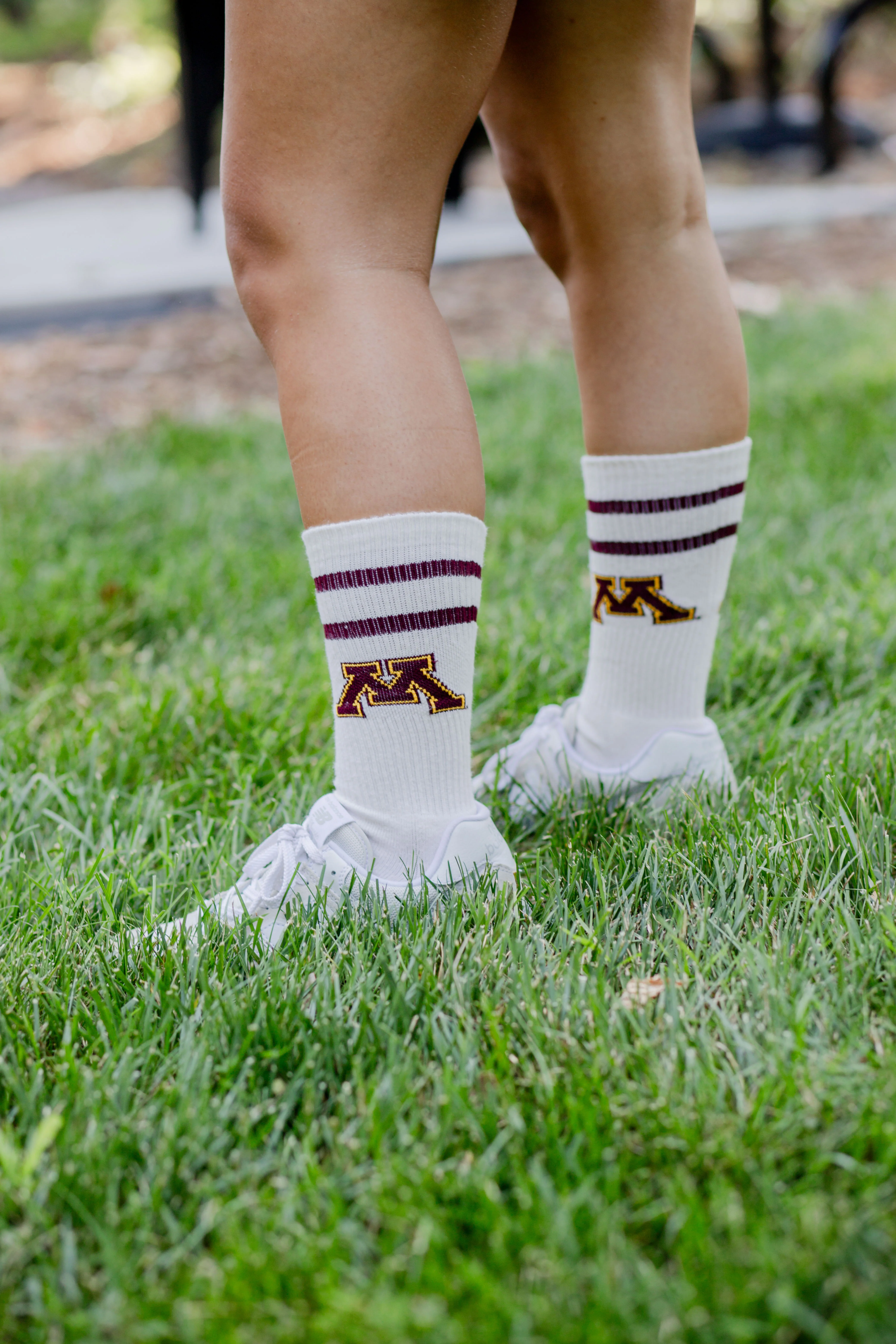 Vintage Minnesota Golden Gophers Socks NCAA Socks For Men and Womens Soft Cotton Sock - Image 6
