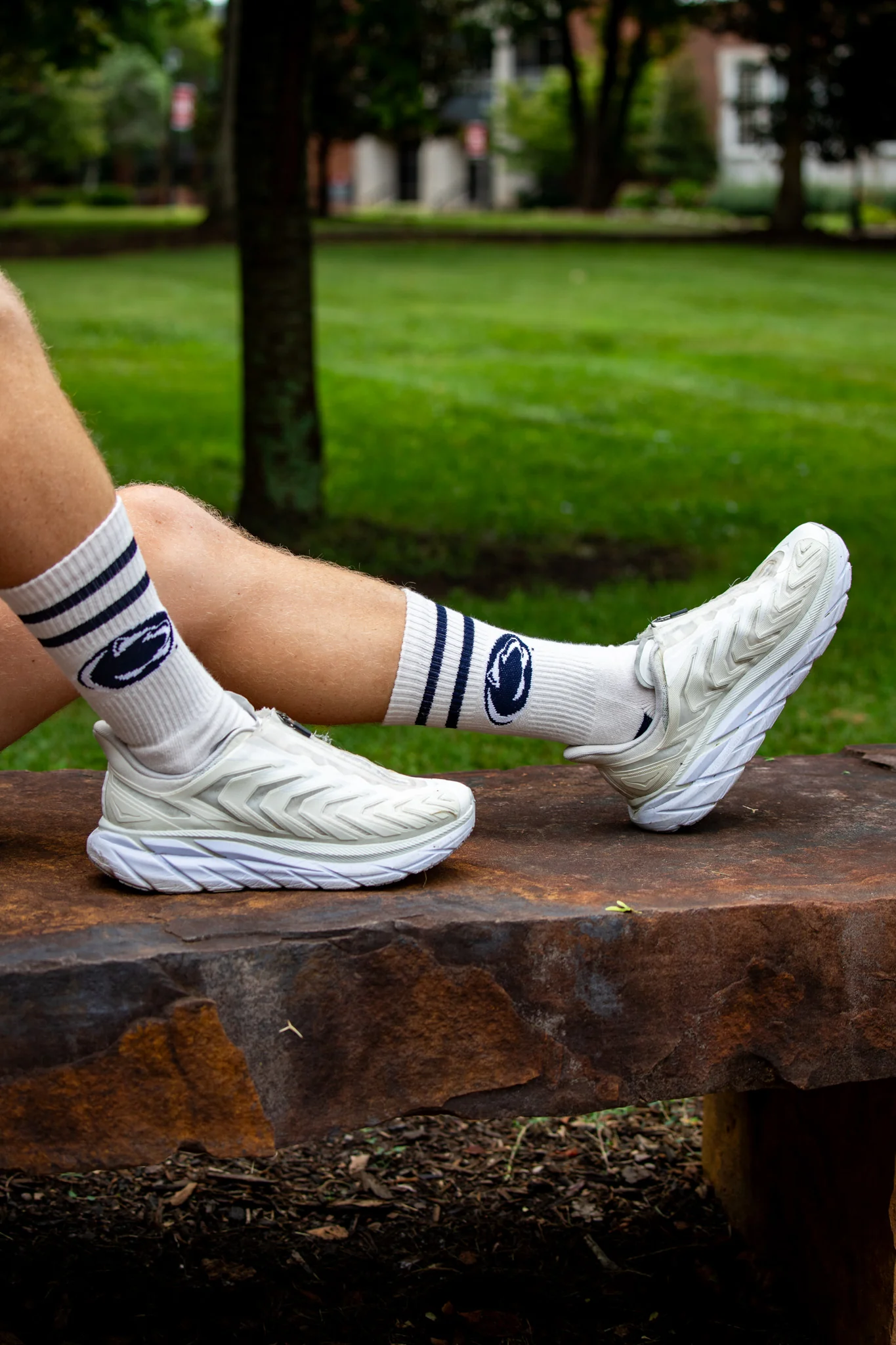 Vintage Penn State Nittany Lions Socks NCAA Socks For Men and Womens Soft Cotton Sock - Image 6