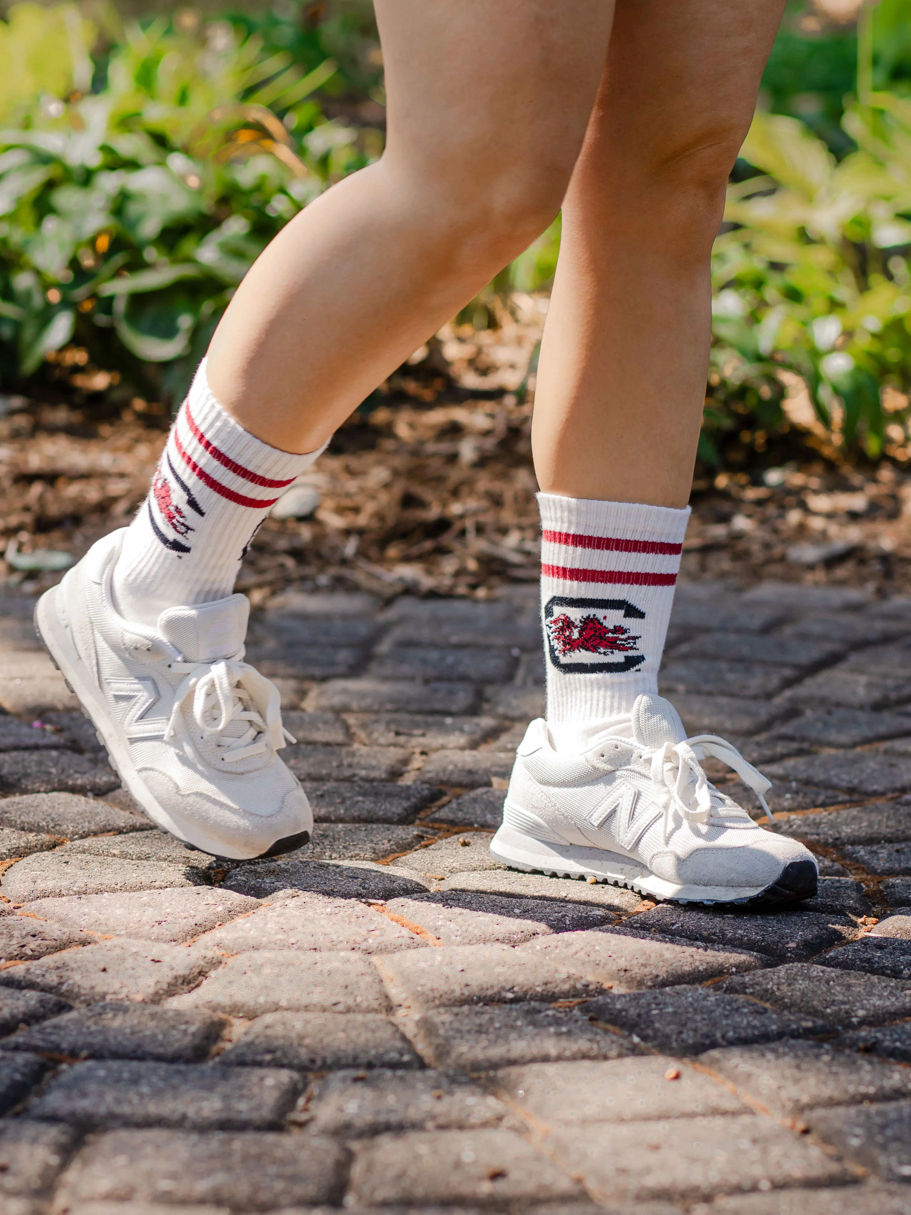 Vintage South Carolina Gamecocks Socks NCAA Socks For Men and Womens Soft Cotton Sock - Image 6
